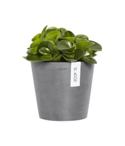 Ecopots Kunststoff-Topf Amsterdam Wall, Rund, Grau, Ca. Ø21,8/H17,5 Cm 10 Ecopots Kunststoff-Topf Amsterdam Wall, Rund, Grau, Ca. Ø21,8/H17,5 Cm -Ecopotos Geschaft 6614887 WE FS 003 EcopotsKunststoffTopfAmsterdamWallrundgrau