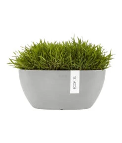 Ecopots Kunststoff-Schale Sofia Mit Wassersystem, Oval, Ca. B30/H13,5/T13 Cm -Ecopotos Geschaft 6614903 WE FS 002 EcopotsKunststoffSchaleSofiamitWassersystemoval