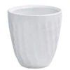 Dehner Keramik-Übertopf Quinn, Konisch, Ca. Ø14 Cm 2 Dehner Keramik-Übertopf Quinn, Konisch, Ca. Ø14 Cm -Ecopotos Geschaft 6641518 WE FS 002 OrchideentopfQuinnWeissMatt