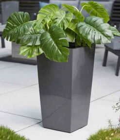 Siena Garden Kunststoff-Säule Lyon, Konisch, Ca. B35/H68/T35 Cm -Ecopotos Geschaft 6655351 WE MO 002 PflanzgefaessLyon35Anthrazit