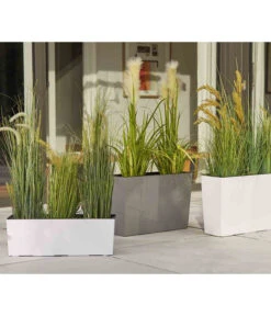 Siena Garden Kunststoff-Kasten Craon, Eckig, Grau, Ca. B56/H36,5/T19 Cm 9 Siena Garden Kunststoff-Kasten Craon, Eckig, Grau, Ca. B56/H36,5/T19 Cm -Ecopotos Geschaft 6655492 WE MO 002 PflanzgefaessCraonGrau