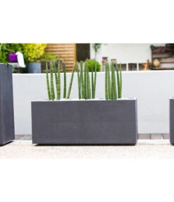 EDA-plastiques Kunststoff-Kasten Graphit, Anthrazit, Ca. B99,5/H43,5/T39,5 Cm 8 EDA-plastiques Kunststoff-Kasten Graphit, Anthrazit, Ca. B99,5/H43,5/T39,5 Cm -Ecopotos Geschaft 6763908 WE MO 001 PflanzkastenGrap100cm