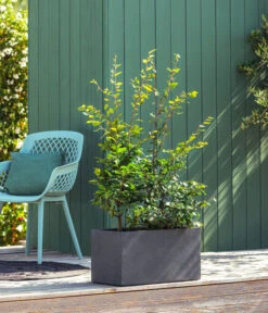 Kunststoff-Kasten Kebe, Rechteckig, Ca. B100/H40/T40 Cm 9 Kunststoff-Kasten Kebe, Rechteckig, Ca. B100/H40/T40 Cm -Ecopotos Geschaft 6935449 WE MO 001 PflanzkastenKebeAnthrazit