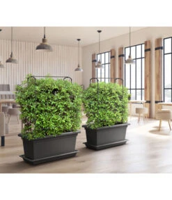 Magnus Kunststoff-Blumenkasten, Rechteckig. Ca. B98/H37/T38 Cm 13 Magnus Kunststoff-Blumenkasten, Rechteckig. Ca. B98/H37/T38 Cm -Ecopotos Geschaft 6997449 WE MO 001 MagnusKunststoffBlumenkastenschwarz