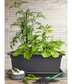 Magnus Kunststoff-Blumenkasten, Rechteckig. Ca. B98/H37/T38 Cm 15 Magnus Kunststoff-Blumenkasten, Rechteckig. Ca. B98/H37/T38 Cm -Ecopotos Geschaft 6997449 WE MO 003 MagnusKunststoffBlumenkastenschwarz