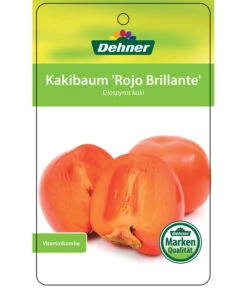 Dehner Kaki 'Rojo Brillante' - Kaki-Pflaume 'Rojo Brillante' -Ecopotos Geschaft 7167414 KakiRojoBrillante Etikett 01