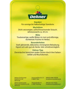 Portugiesischer Kirschlorbeer 'Angustifolia' -Ecopotos Geschaft 7362833 PortugiesischerKirschlorbeerAngustifolia Etikett 2