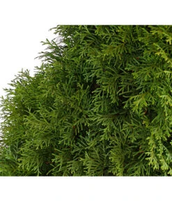 7 Meter Lebensbaum 'Smaragd', 14 X Ca. 150-175 Cm -Ecopotos Geschaft 7513534 WE DE 001 ThujaLebensbaumOccidentalisSmaragd20LDehnerExpressHerzig