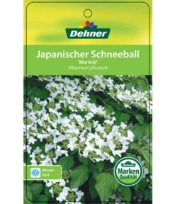 Japanischer Etagen-Schneeball 'Mariesii' -Ecopotos Geschaft 7537194 JapanischerSchneeballMariesii Etikett 1