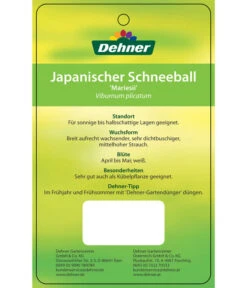 Japanischer Etagen-Schneeball 'Mariesii' -Ecopotos Geschaft 7537194 JapanischerSchneeballMariesii Etikett 2