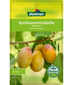 Dehner Aprikosenmirabelle 'Aprimira' -Ecopotos Geschaft 7600851 AprikosenmirabelleAprimira Etikett 1