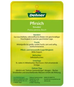 Dehner Pfirsich 'Amsden' -Ecopotos Geschaft 7603665 PfirsichAmsden Etikett 2
