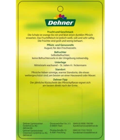 Dehner Pfirsich 'Benedicte' -Ecopotos Geschaft 7611155 WeissfleischigerPfirsichBenedicte Etikett 2
