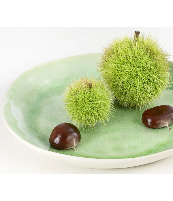 Esskastanie 'Bouche De Betizac' 5 Esskastanie 'Bouche De Betizac' – Bild 3