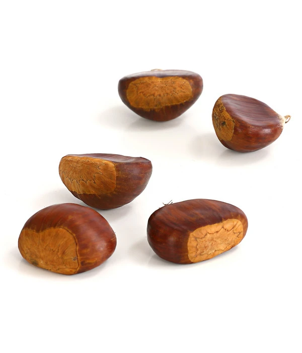 Esskastanie 'Bouche De Betizac' 7 Esskastanie 'Bouche De Betizac' – Bild 5