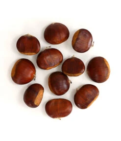 Esskastanie 'Bouche De Betizac' 10 Esskastanie 'Bouche De Betizac' -Ecopotos Geschaft 7621998 WE FS 003 EsskastanieMaroneCastaneaSativaDehnerExpressHerzig