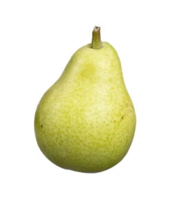 Säulenbirne 'Jeanne D'Arc' 5 Säulenbirne 'Jeanne D'Arc' -Ecopotos Geschaft 7626039 PR DE 001 SaeulenbirneJeanPixabay