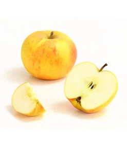 Winterapfel 'Goldparmäne' -Ecopotos Geschaft 7654999 WE DE 006 ApfelGoldparmaeneDehnerExpressHerzig