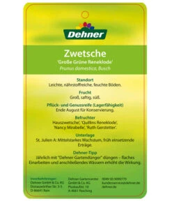 Dehner Reneklode 'Große Grüne Reneklode' -Ecopotos Geschaft 7657802 ReneklodeGrosseGrueneReneklode Etikett 2