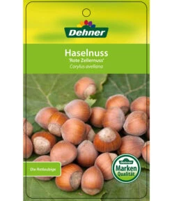 Dehner Haselnuss 'Rote Zellernuss' 14 Dehner Haselnuss 'Rote Zellernuss' -Ecopotos Geschaft 7663073 HaselnussRoteZellernuss Etikett 1
