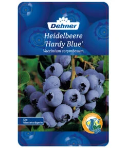 Heidelbeere 'Hardyblue' 8 Heidelbeere 'Hardyblue' -Ecopotos Geschaft 7665490 HeidelbeereHardyblue Etikett 1