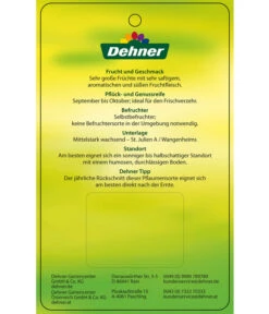 Dehner Pflaume 'Königin Viktoria' -Ecopotos Geschaft 7702558 PflaumeKoeniginVictoria Etikett 2