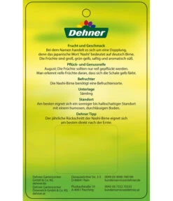 Nashi-Birne 'Nijiseiki' 11 Nashi-Birne 'Nijiseiki' -Ecopotos Geschaft 7719826 Nashi BirneNijiseiki Etikett 2