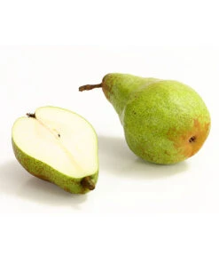 Winterbirne 'Novembra' 7 Winterbirne 'Novembra' -Ecopotos Geschaft 7723695 WE DE 004 BirneNovemberDehnerExpressHerzig