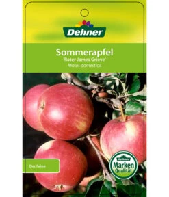 Sommerapfel 'Roter James Grieve' -Ecopotos Geschaft 7745730 SommerapfelRoterJamesGrieve Etikett 1