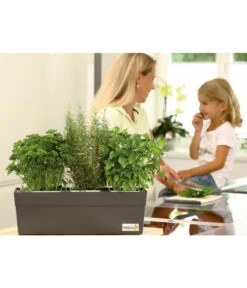 GREENBAR® Ersatzvlies, 3er-Pack -Ecopotos Geschaft 7750482 PR MO 003 GreenbarAnleitungIndoorSeidl 1