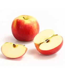 Allergikerapfel 'Santana' 6 Allergikerapfel 'Santana' -Ecopotos Geschaft 7750631 WE DE 004 ApfelSantanaDehnerExpressHerzig