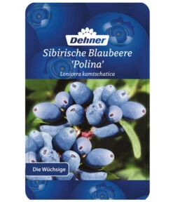 Maibeere 12 Maibeere -Ecopotos Geschaft 7756448 SibirischeBlaubeerePolina Etikett 1