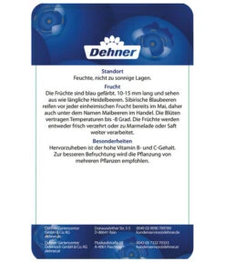 Maibeere 13 Maibeere -Ecopotos Geschaft 7756448 SibirischeBlaubeerePolina Etikett 2