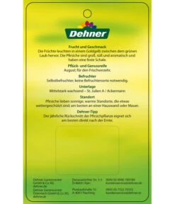 Pfirsich 'Suncrest' 9 Pfirsich 'Suncrest' -Ecopotos Geschaft 7760754 GelbfleischigerPfirsichSuncrest Etikett 2