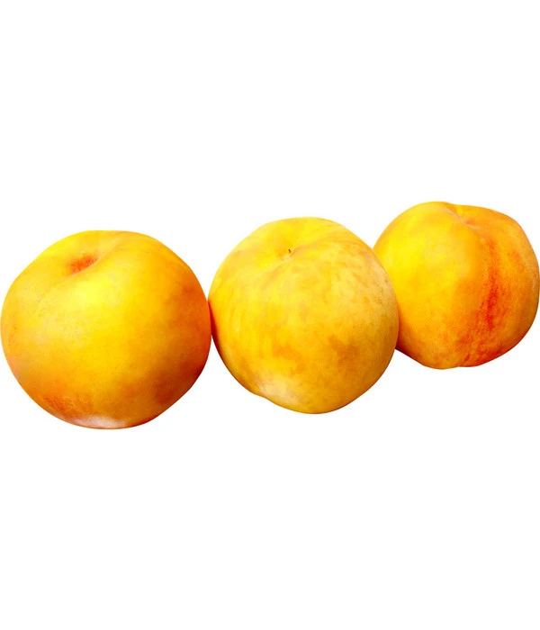 Pfirsich 'Suncrest' 3 Pfirsich 'Suncrest'