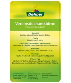 Herbstbirne 'Vereinsdechant' -Ecopotos Geschaft 7772064 BirneVereinsdechant Etikett 2