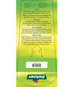 Tafeltraube 'Georg' 11 Tafeltraube 'Georg' -Ecopotos Geschaft 7773575 TafeltraubeGeorg Etikett 2