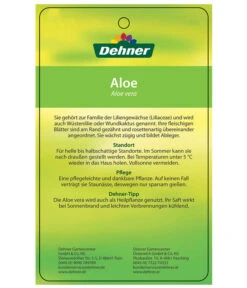 Echte Aloe-Set - Aloe Vera -Ecopotos Geschaft 7976202 AloeVeraEtikett2