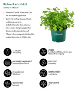 Bioland Liebstöckel 5 Bioland Liebstöckel -Ecopotos Geschaft 8002008 WE IG 001 BiolandLiebstoeckel