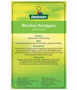 Weiches Honiggras -Ecopotos Geschaft 8033276 HoniggrasEtikett2