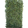 Hecke Am Laufenden Meter® 'Woerneri' - Efeu, Ca. 200 Cm