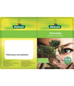 Ecopotos Geschaft -Ecopotos Geschaft 8555054 SteineibeBonsaiEtikett1