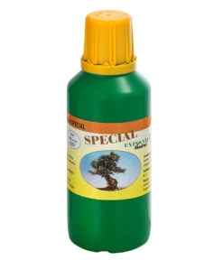 Bonsai Chinesischer Feigenbaum - Ficus Retusa, Anfänger-Set, 10 Jahre -Ecopotos Geschaft 8561573 WE FS 003 DuengerSetBonsai