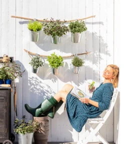 Bio Rosmarin 8 Bio Rosmarin -Ecopotos Geschaft 8610123 WE MO 001 Oregano Kraeuter 2