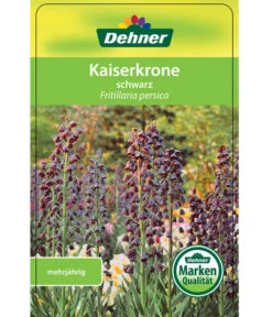 Persische Kaiserkrone -Ecopotos Geschaft 8664708 KaiserkroneSchwarz Etikett 1