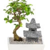 Bonsai Mit Buddha/Pagode, Verschiedene Sorten -Ecopotos Geschaft 8686669 PR FS 001 BonsaiMixMitBuddhaPagodeT18DehnerExpressHerzig