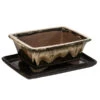 Dehner Keramik-Bonsaischale, Rechteckig, Braun/beige -Ecopotos Geschaft 8732141 WE FS 001 SchalensortimentBonsai BraunBeigeGr 3