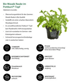 Bio Wasabi Rauke Im Pottburri®-Topf -Ecopotos Geschaft 8830291 WE IG 001 BioWasabiRaukeimPottburriTopf