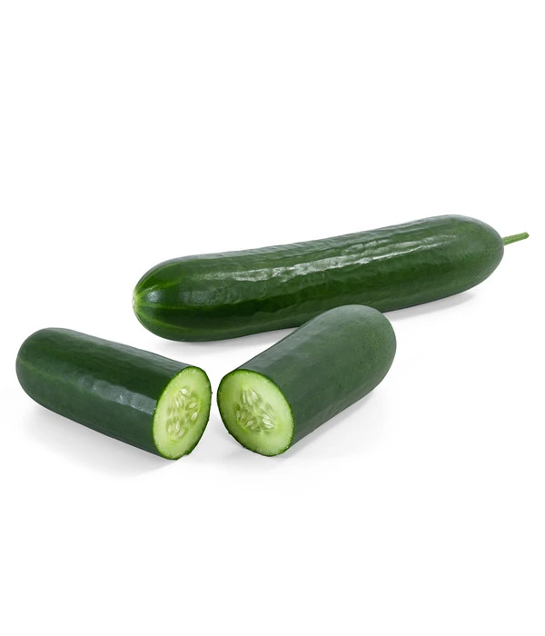 Mini Schlangengurke 5 Mini Schlangengurke – Bild 3