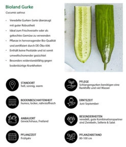 Bioland Gurke, Veredelt -Ecopotos Geschaft 8830853 WE IG 001 BiolandGurke